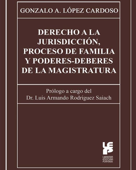 Derecho a la jurisdicción, proceso de familia y poderes-deberes de la Magistratura