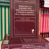 Derecho a la jurisdicción, proceso de familia y poderes-deberes de la Magistratura