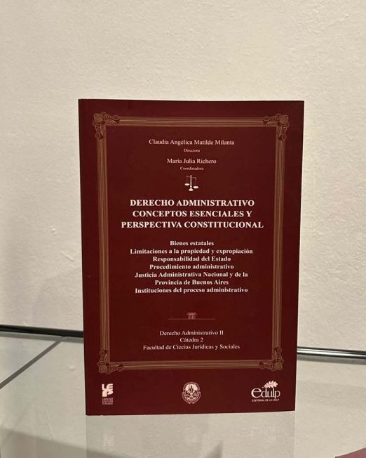 Derecho administrativo conceptos esenciales y perspectiva constitucional