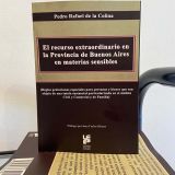 El recurso extraordinario en la provincia de Buenos Aires en materias sensibles