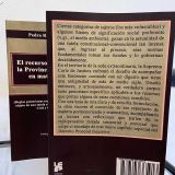 El recurso extraordinario en la provincia de Buenos Aires en materias sensibles