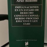 Impugnaciones en un Estado de derecho constitucional: debido proceso efectivo y Ley 13.661