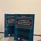 La oralidad civil como herramienta de eficiencia procesal