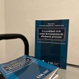 La oralidad civil como herramienta de eficiencia procesal