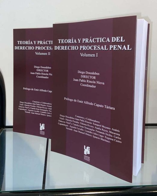 editoraplatense-libro-teoria-y-practica-del-derecho-procesal-penal-03