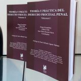 Teoría y práctica del derecho procesal penal – Vol I y II