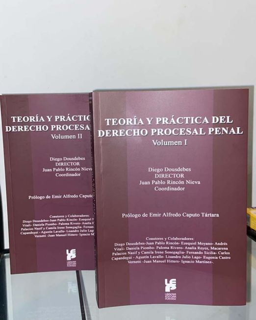 editoraplatense-libro-teoria-y-practica-del-derecho-procesal-penal-04